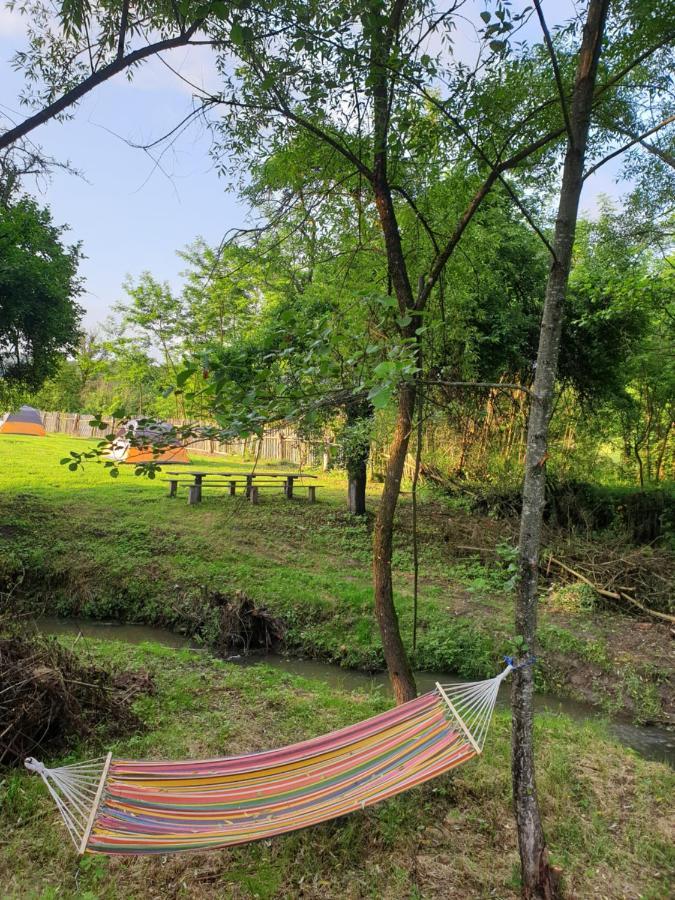 Casutele Din Grosi Hotel Grosi  ภายนอก รูปภาพ