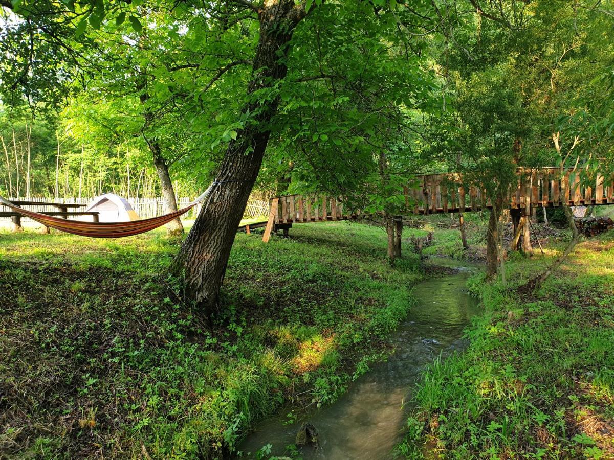 Casutele Din Grosi Hotel Grosi  ภายนอก รูปภาพ